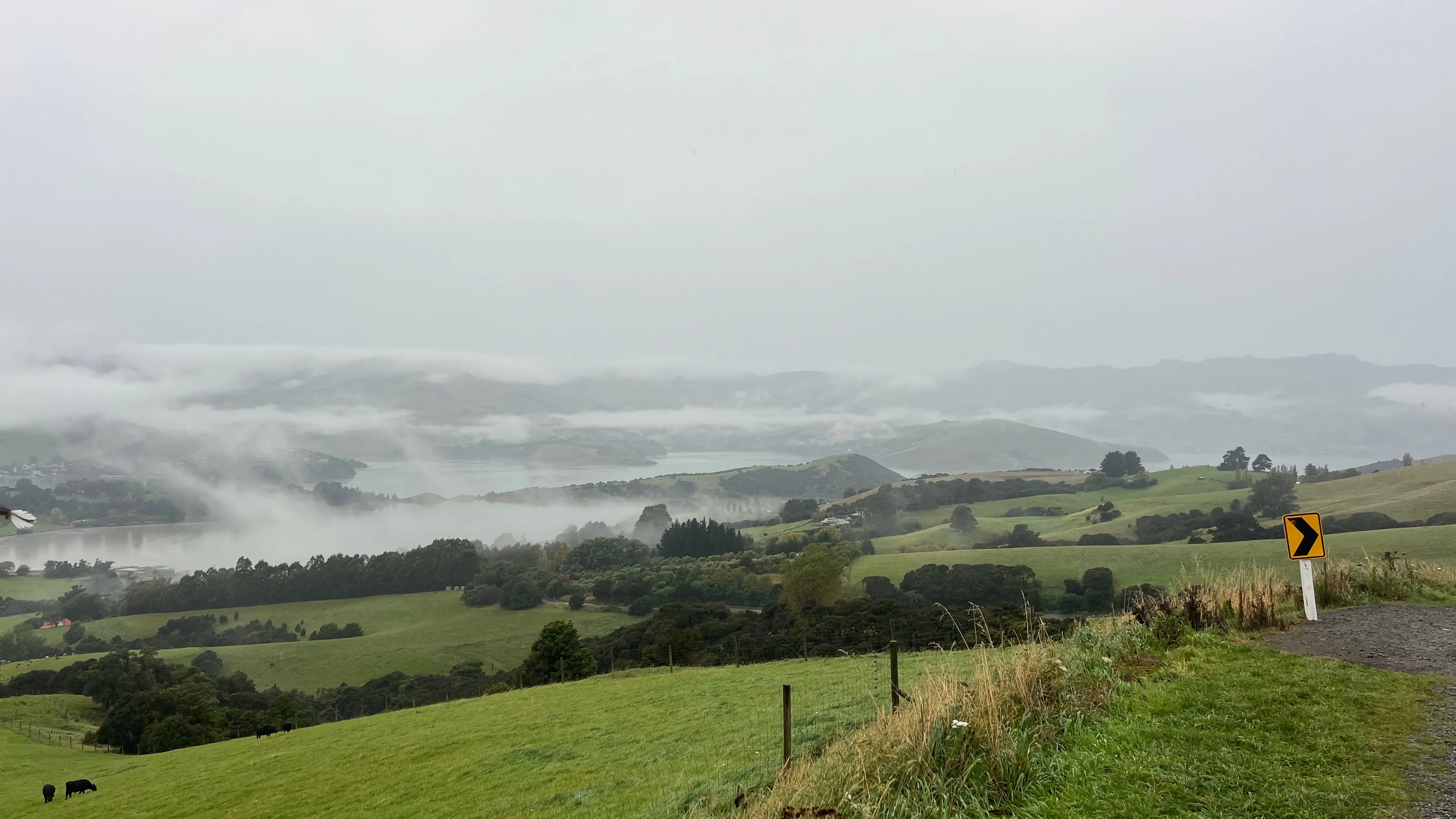 Low cloud drifting over green farmland and a harbour below a winding road.