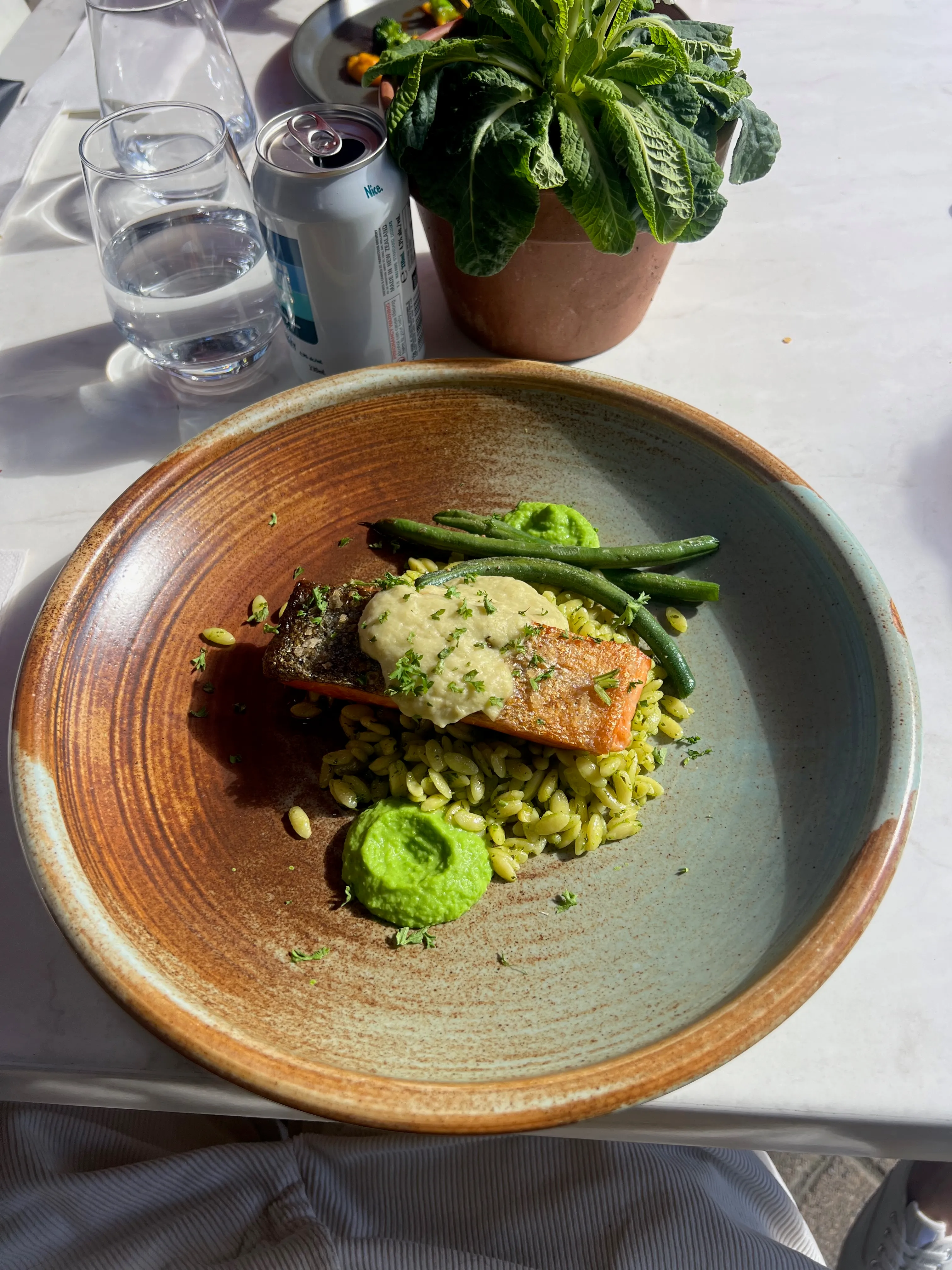 A plate of salmon with green beans and pea purée on a sunny restaurant table.