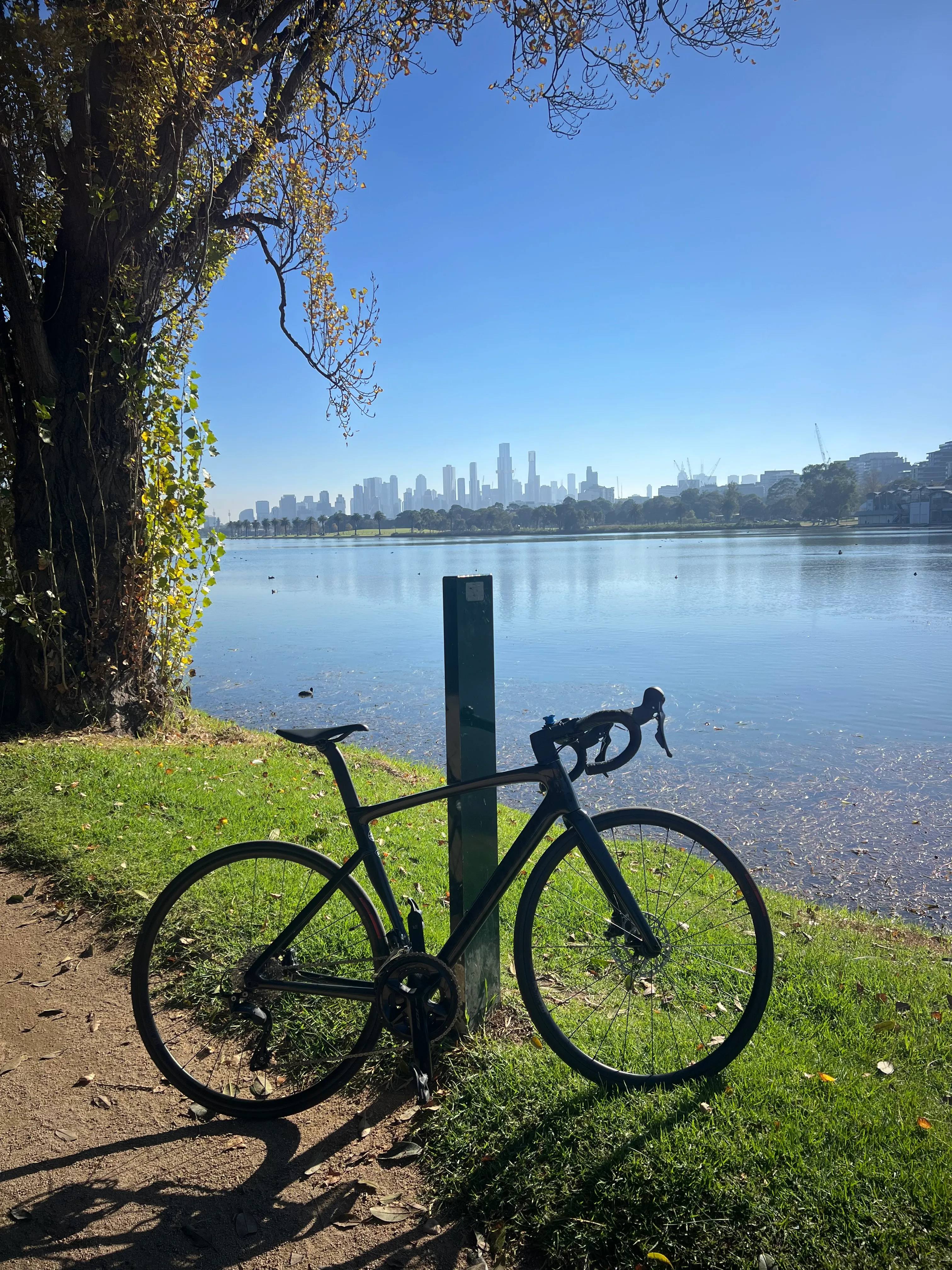 A road bike beside Albert Park Lake with the city skyline beyond.