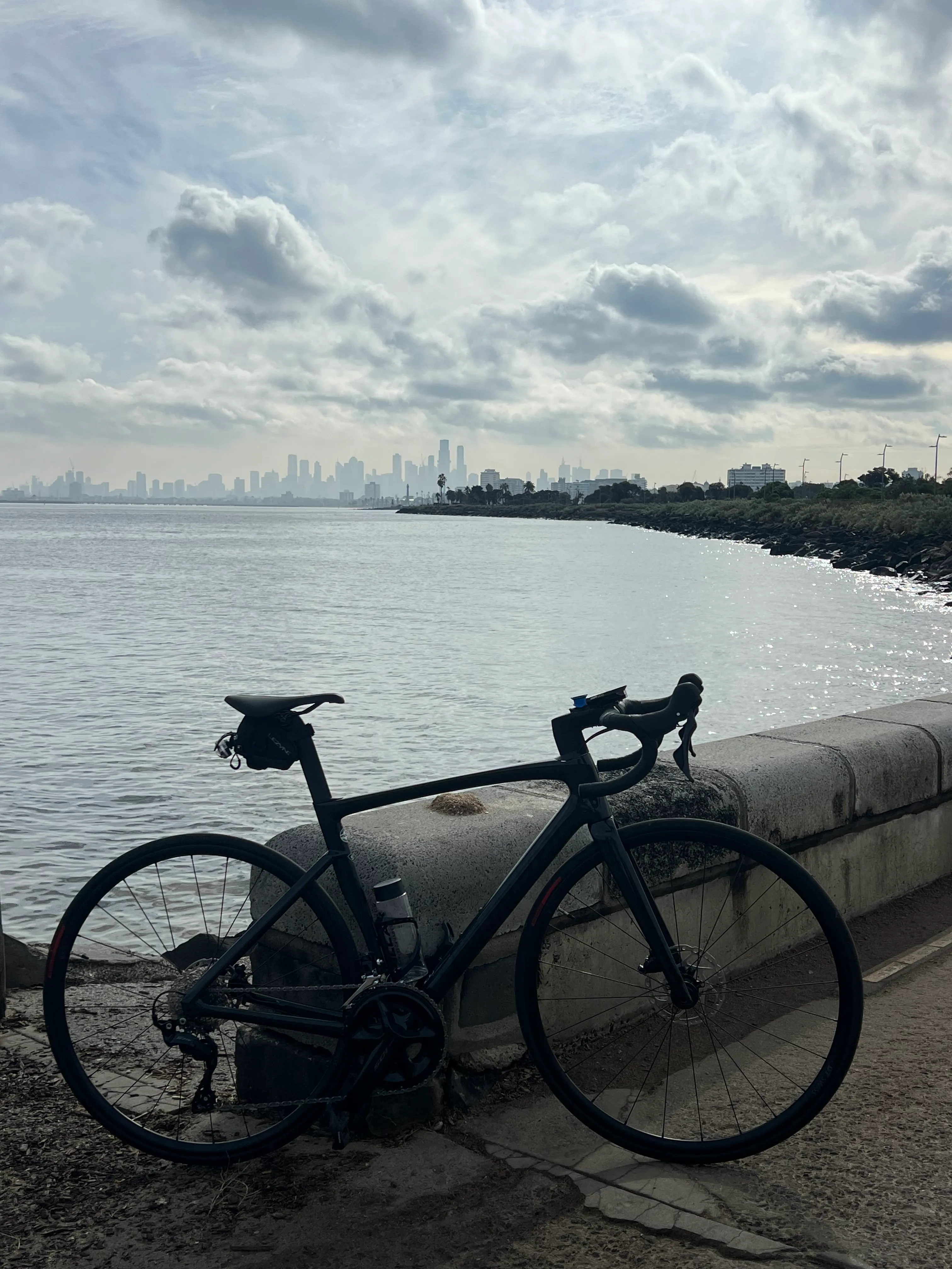 A bike leaning on a seawall with the city across the bay.