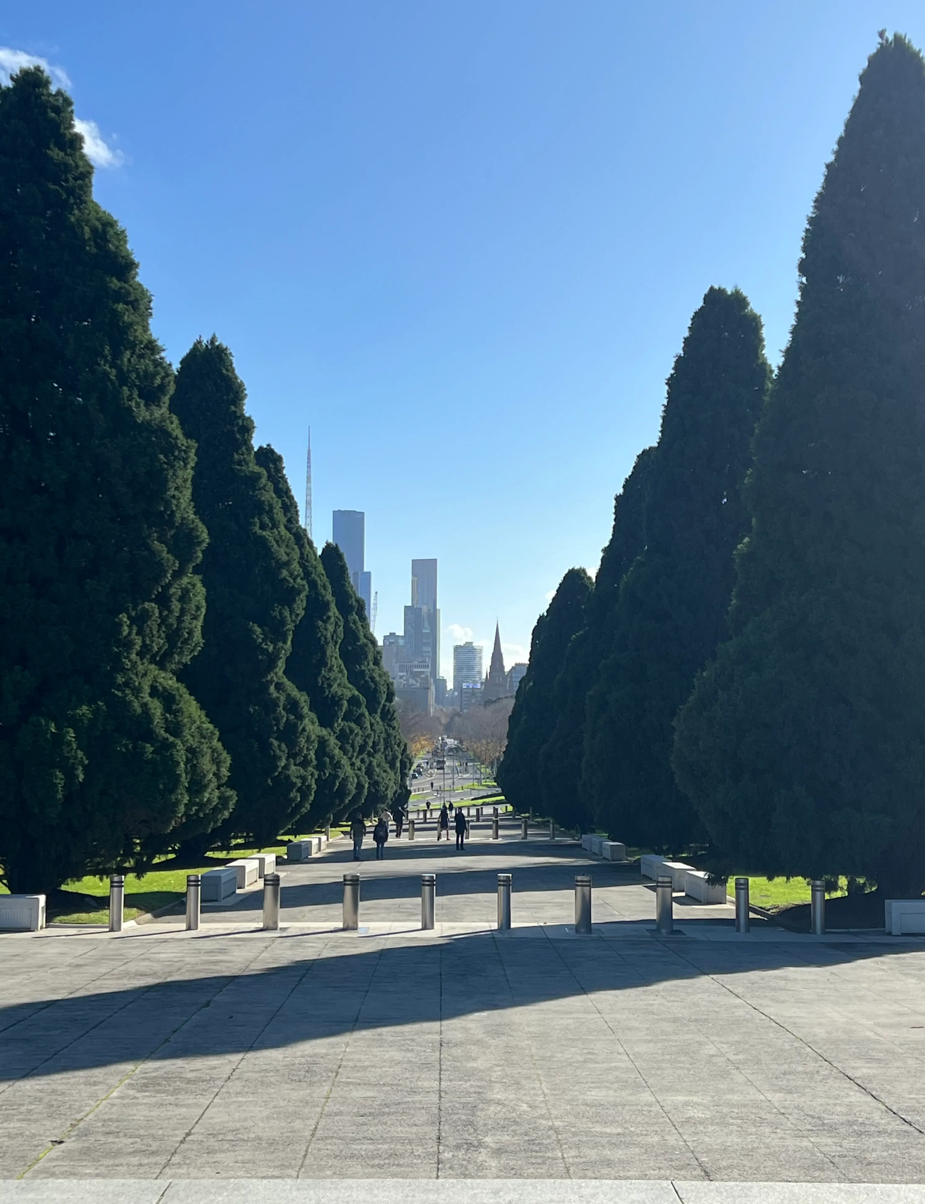 An avenue of cypress trees leading from the Shrine of Remembrance toward the city.