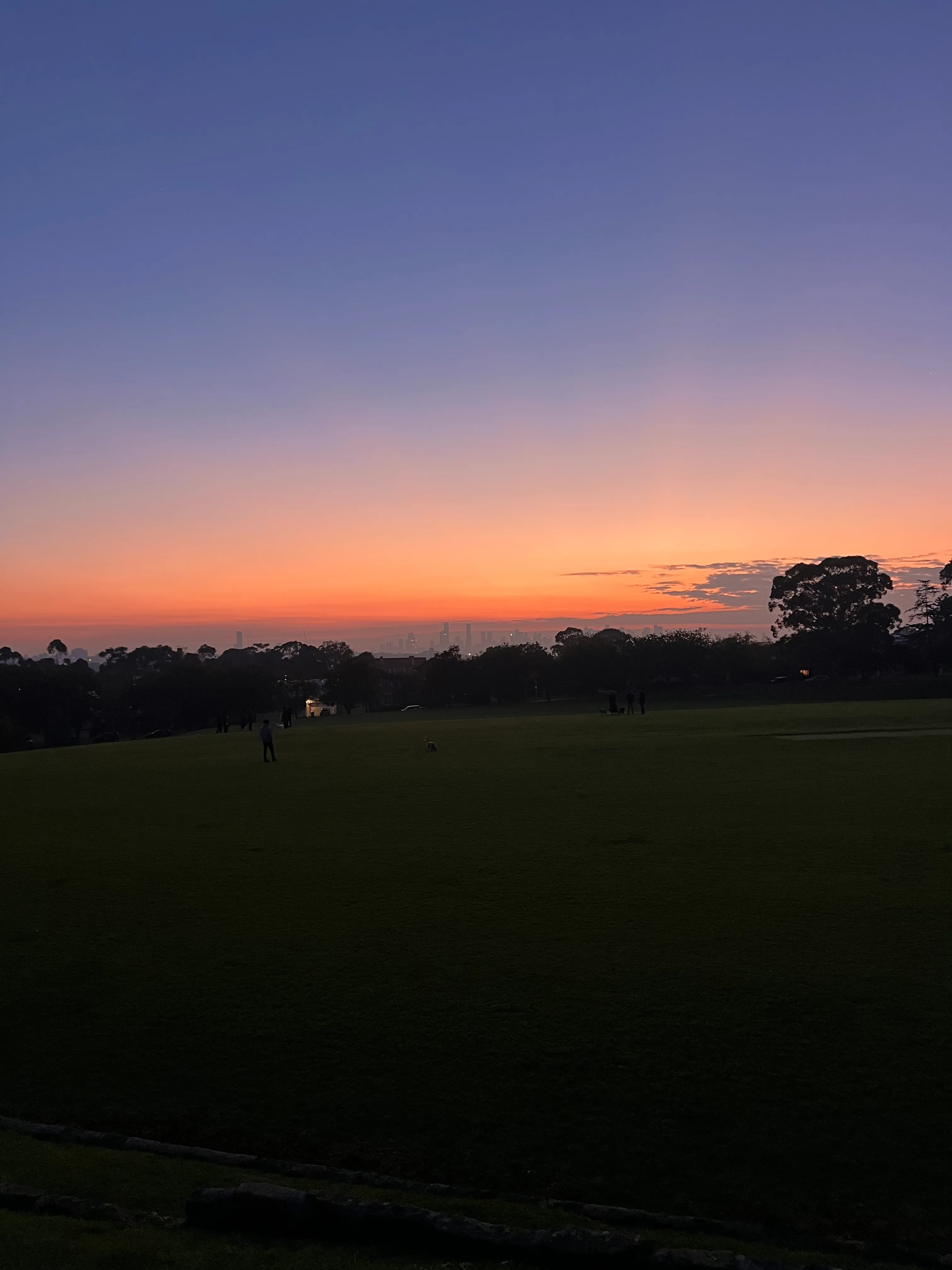 Sunset over a park with the city skyline on the horizon.