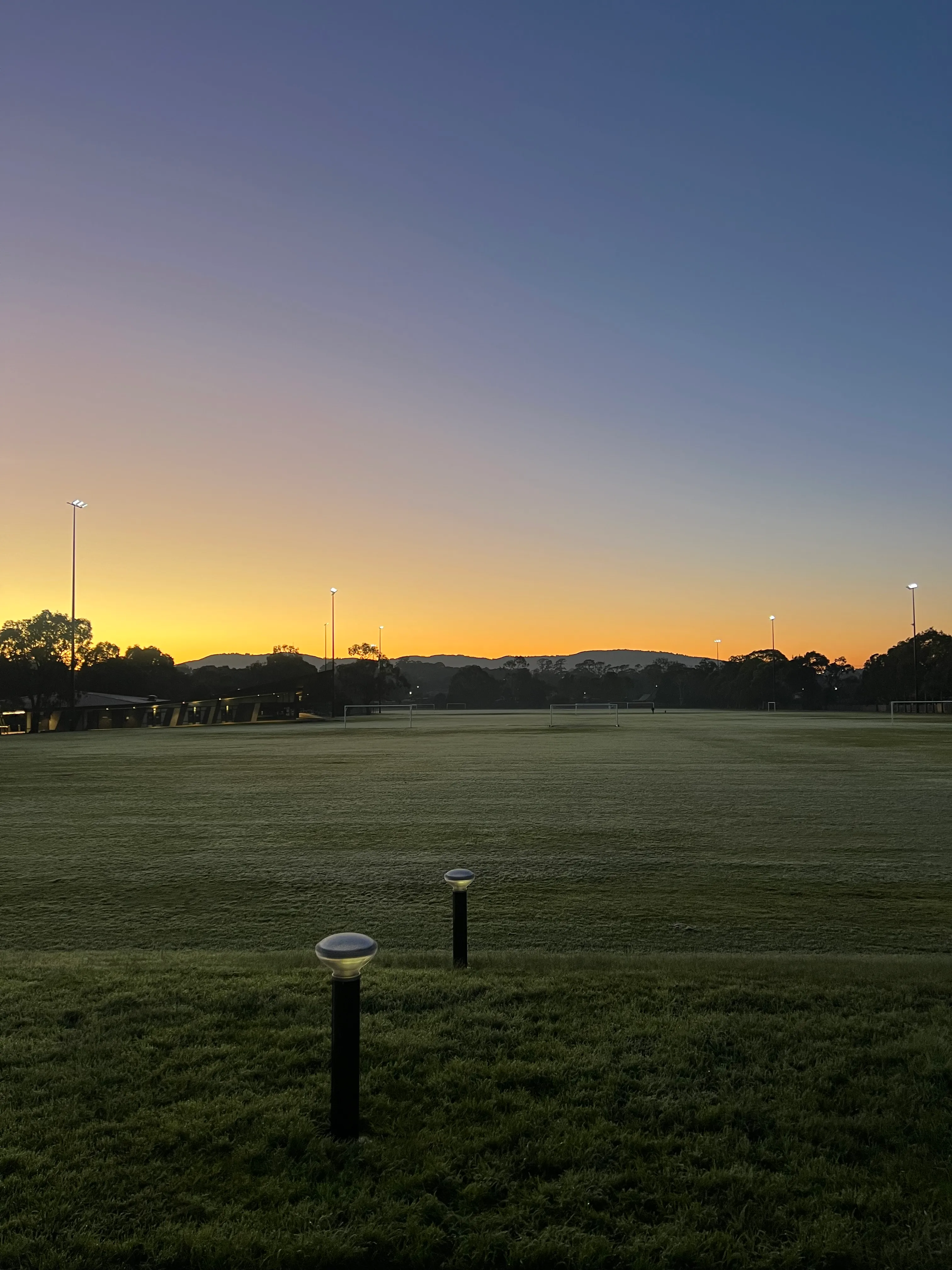 Dawn breaking over a quiet park.