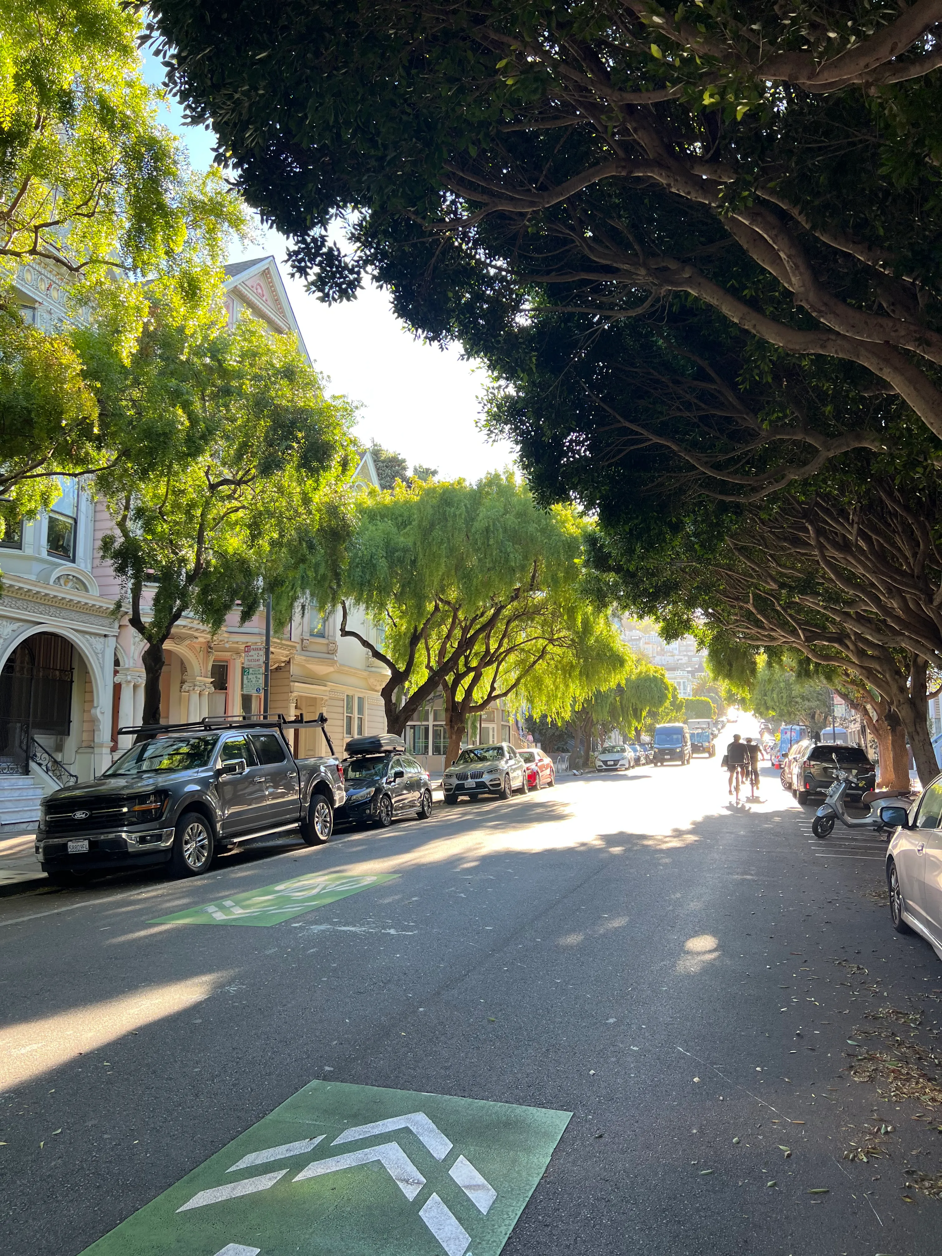 A tree-lined street with a bike lane.