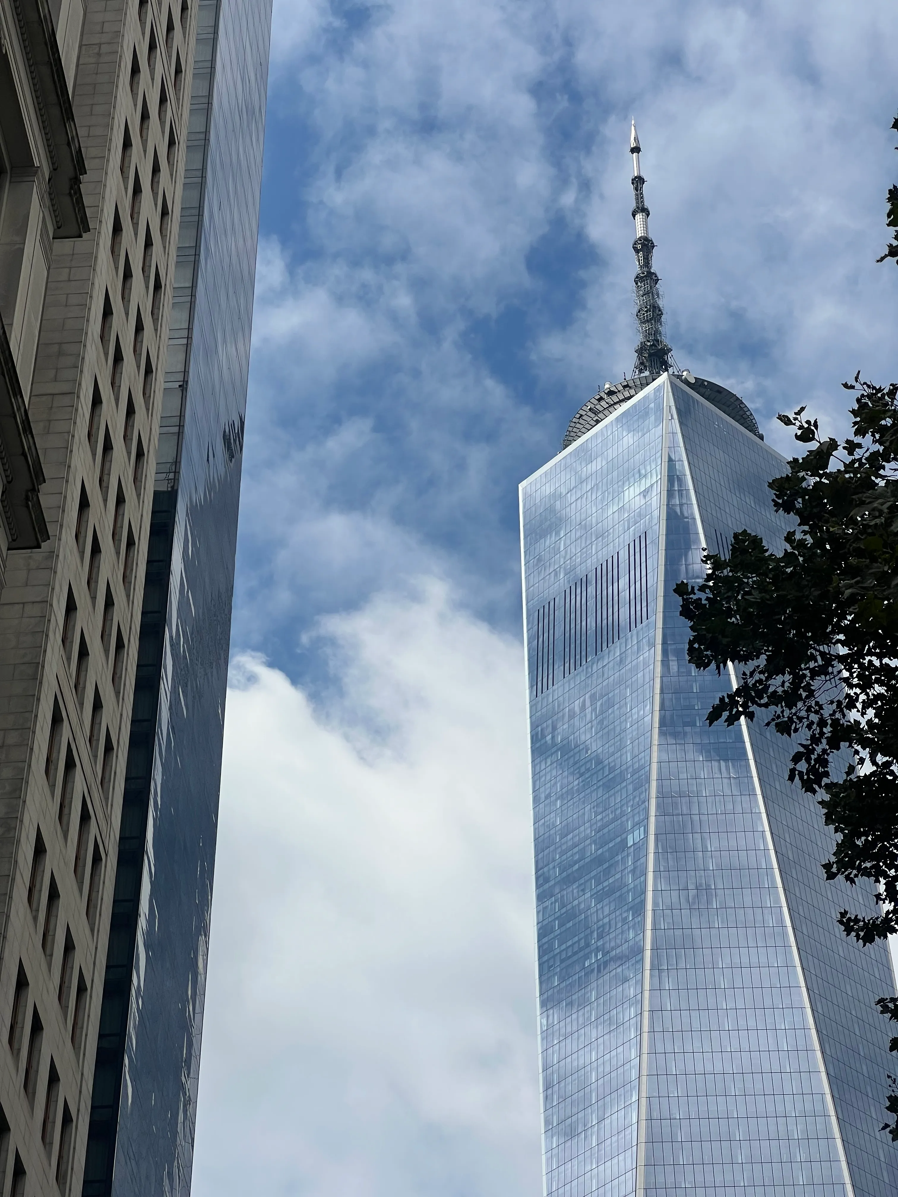 One World Trade Center's spire seen between buildings near a limestone civic building, framed by a tree.