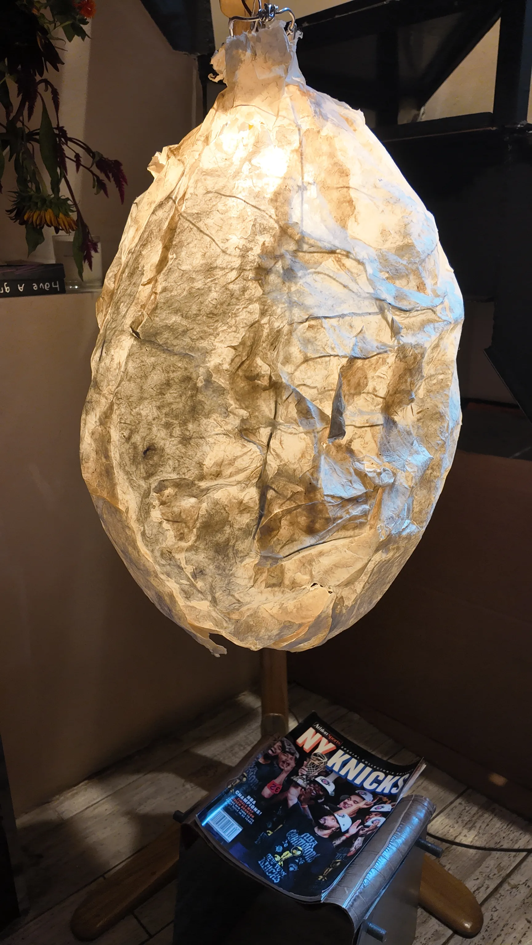 A sculptural illuminated lamp inside a cafe.