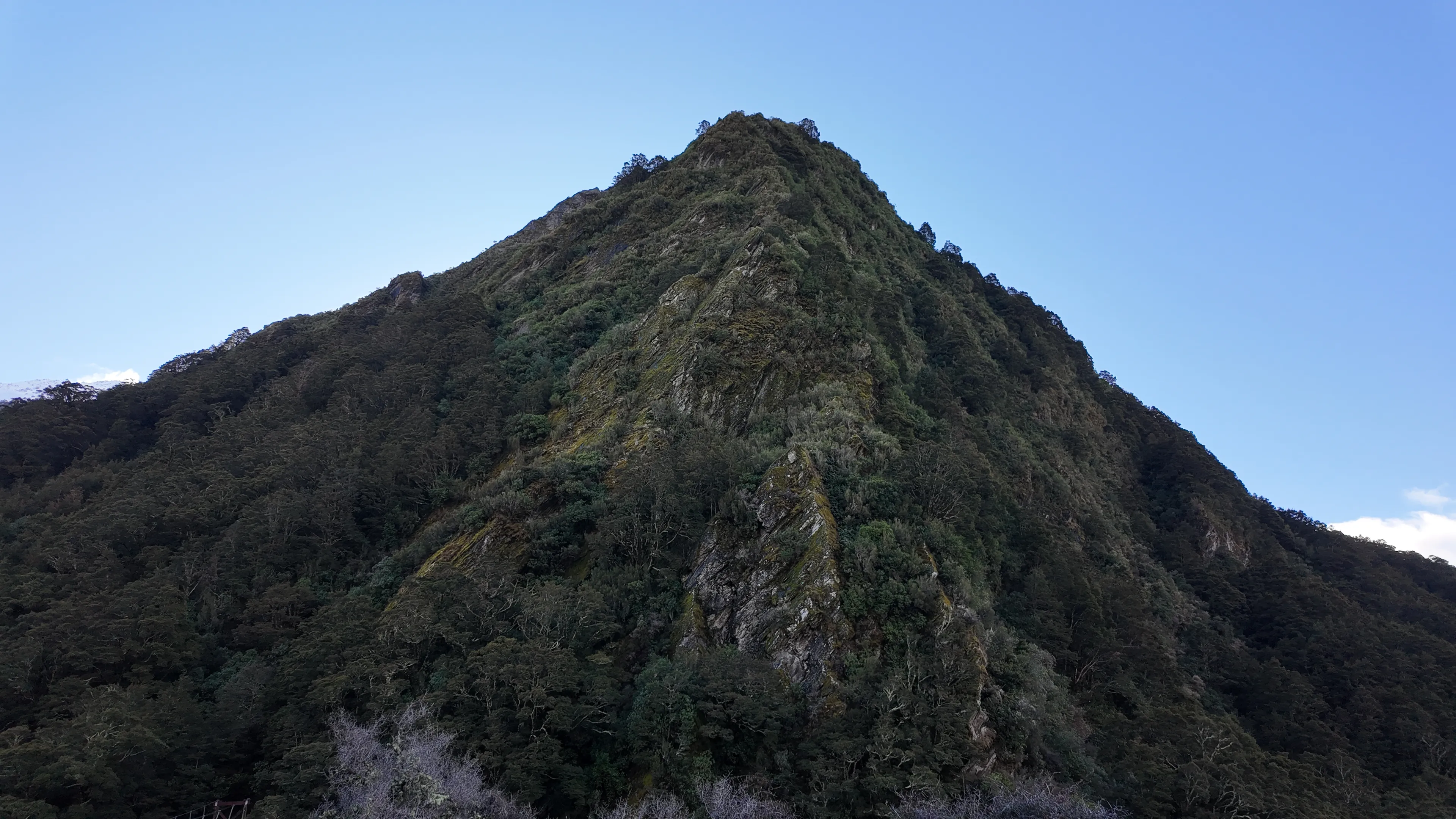 A steep forest-covered rocky ridge against a clear blue sky.