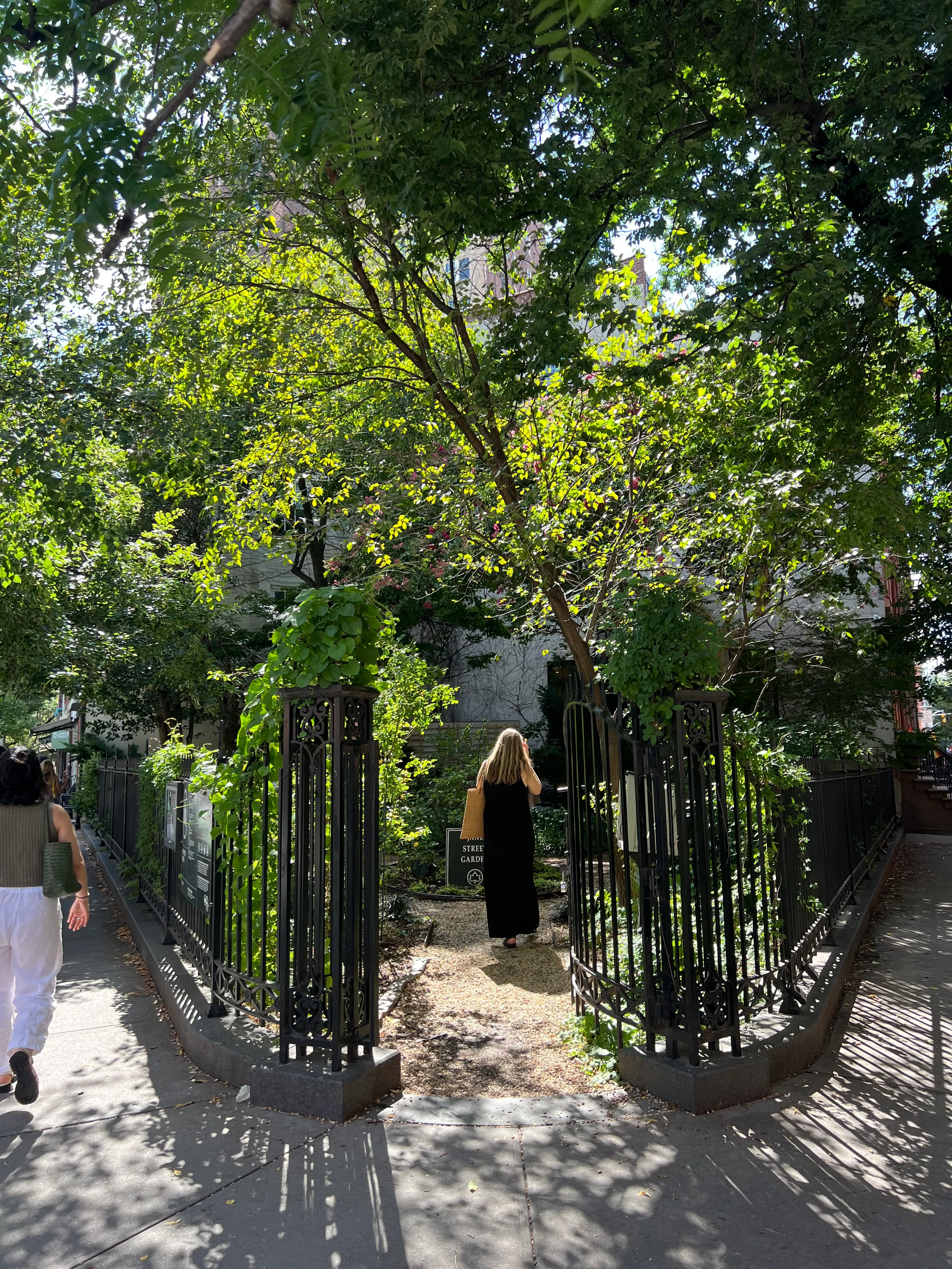 A wisteria-draped iron gate opening onto a shaded community garden path.