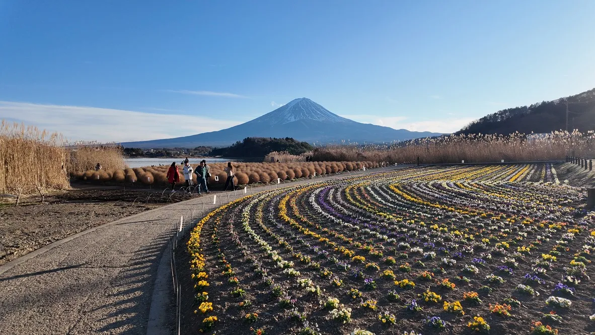 Curved flower beds and visitors beside a lake with a mountain in the distance.