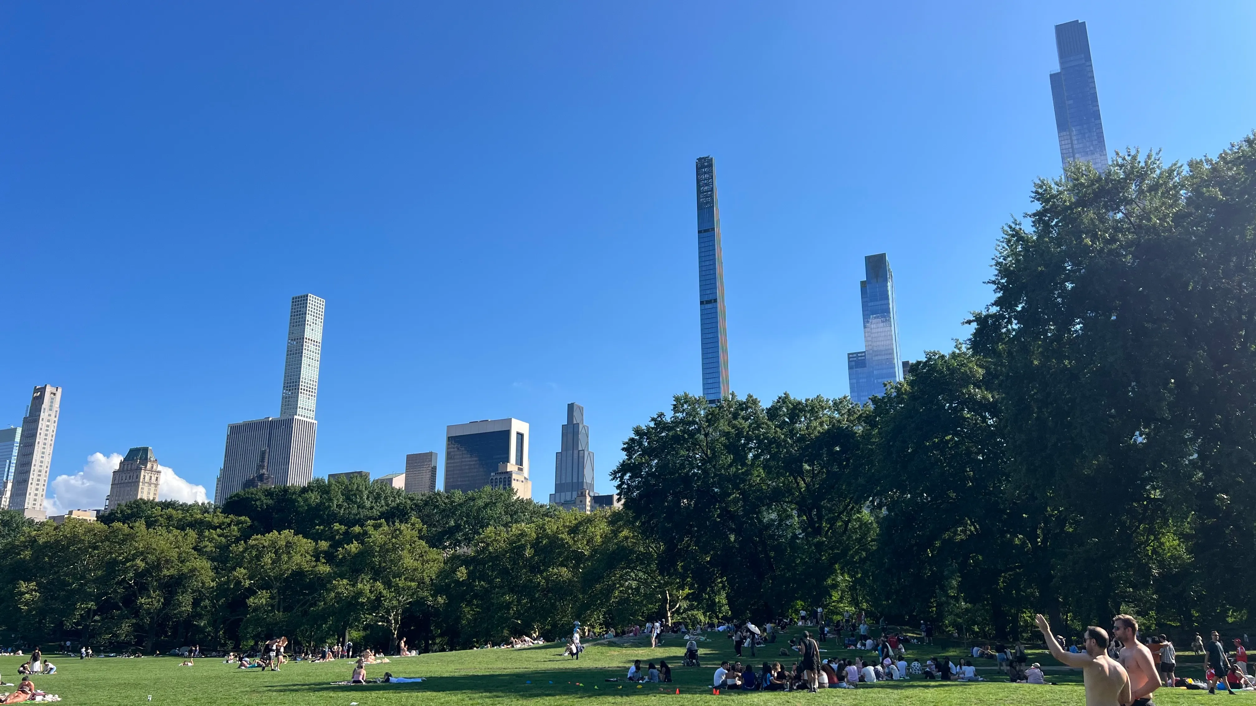 A crowded lawn in Central Park with a row of Midtown skyscrapers rising behind the trees.