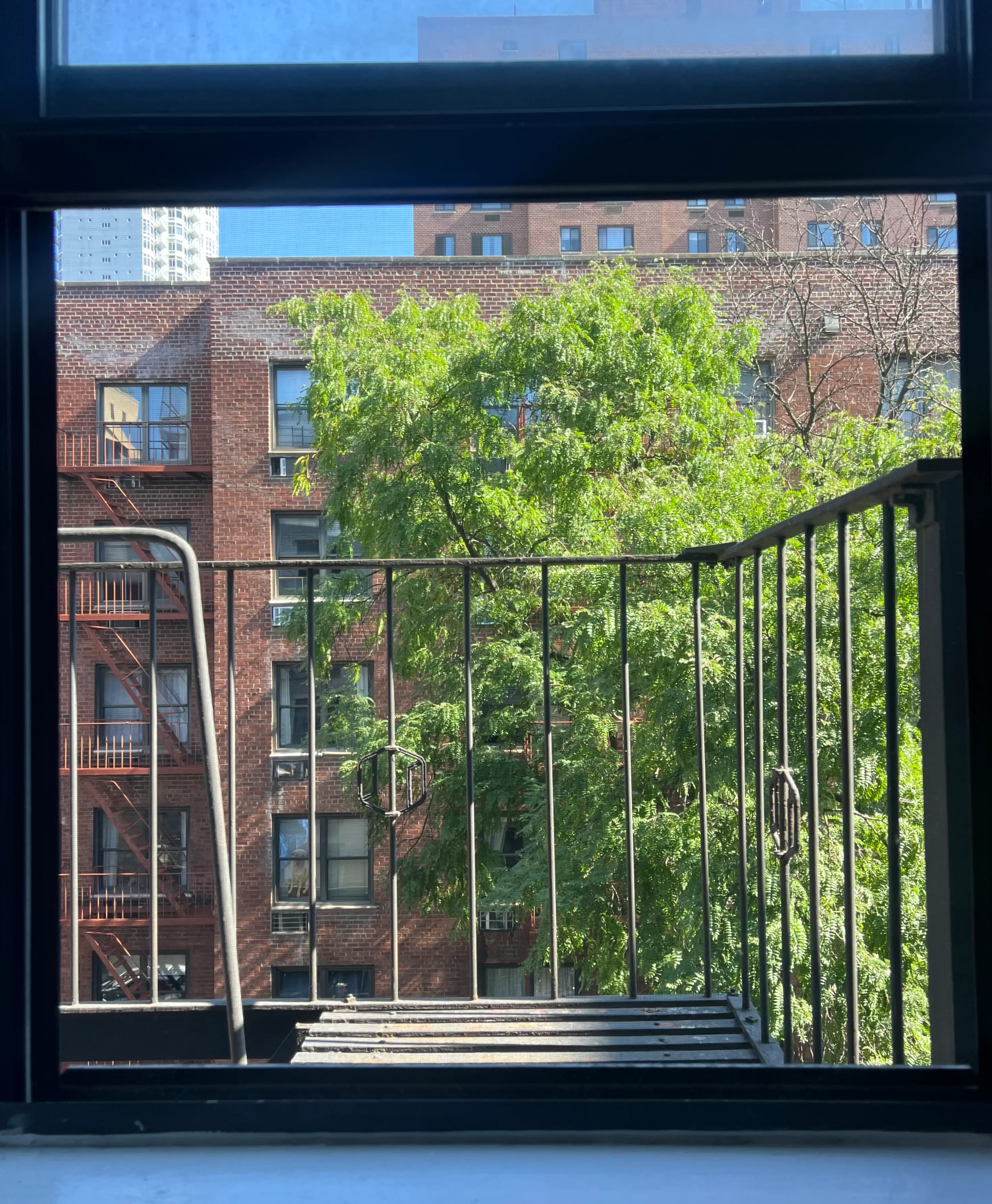 A view through a window of a fire escape, leafy trees and brick apartment buildings.